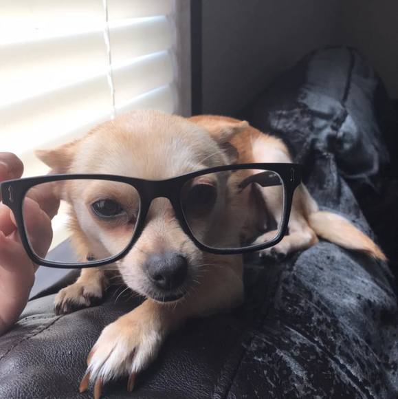 Poshmark profile picture for @jumping